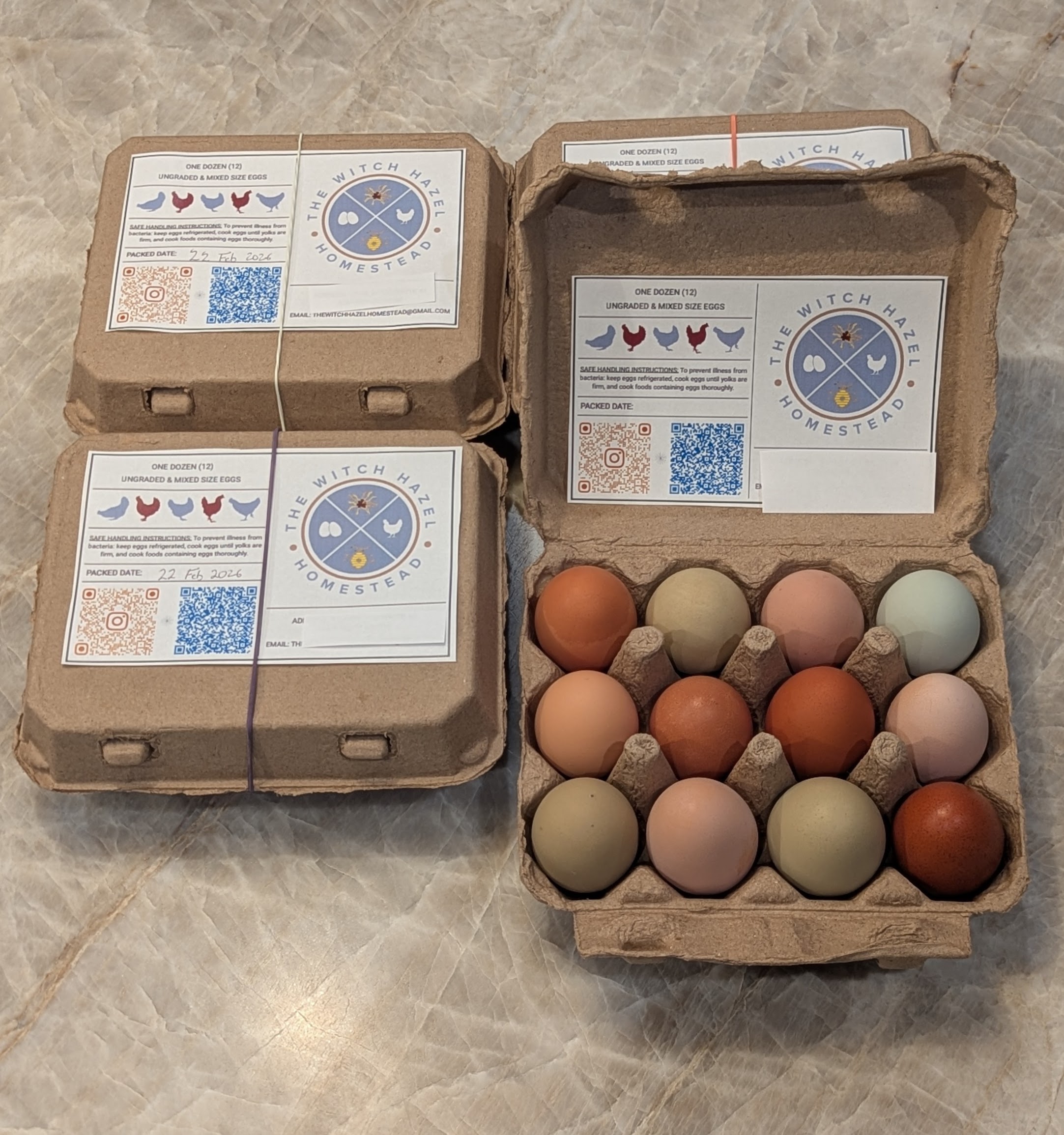 Chicken Eggs (1 Doz)