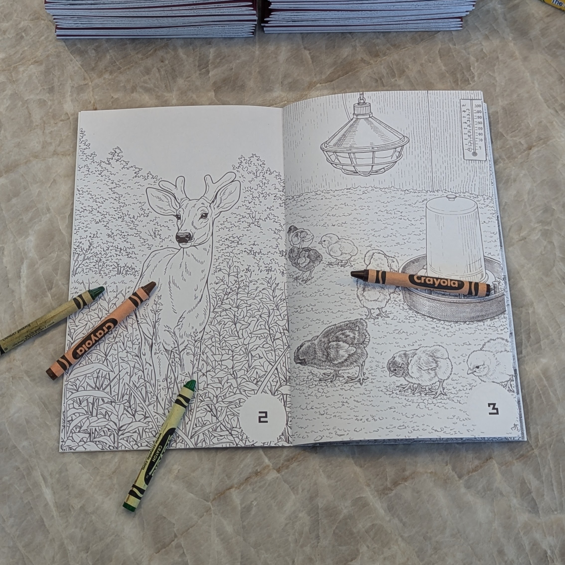 Coloring Book