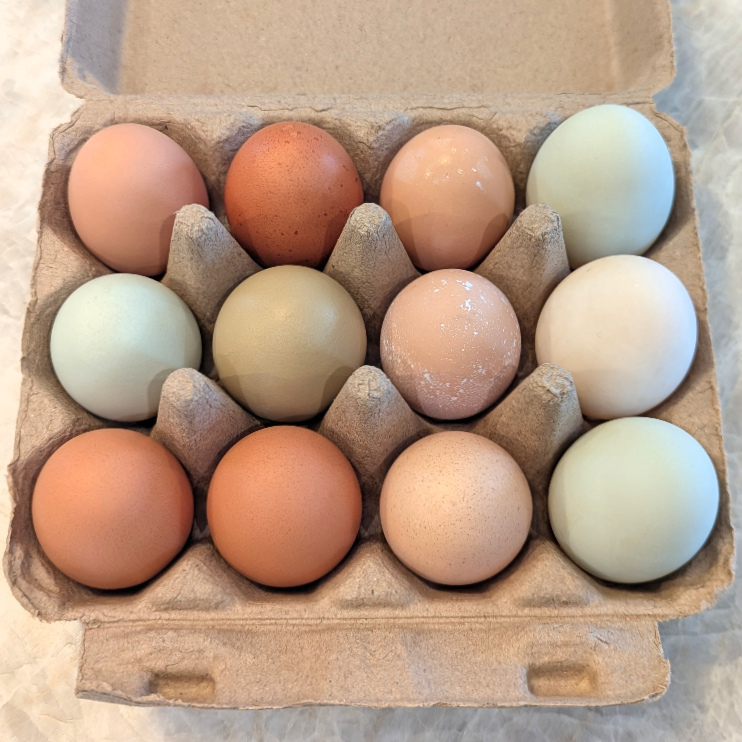 Mixed Eggs (1 Doz)