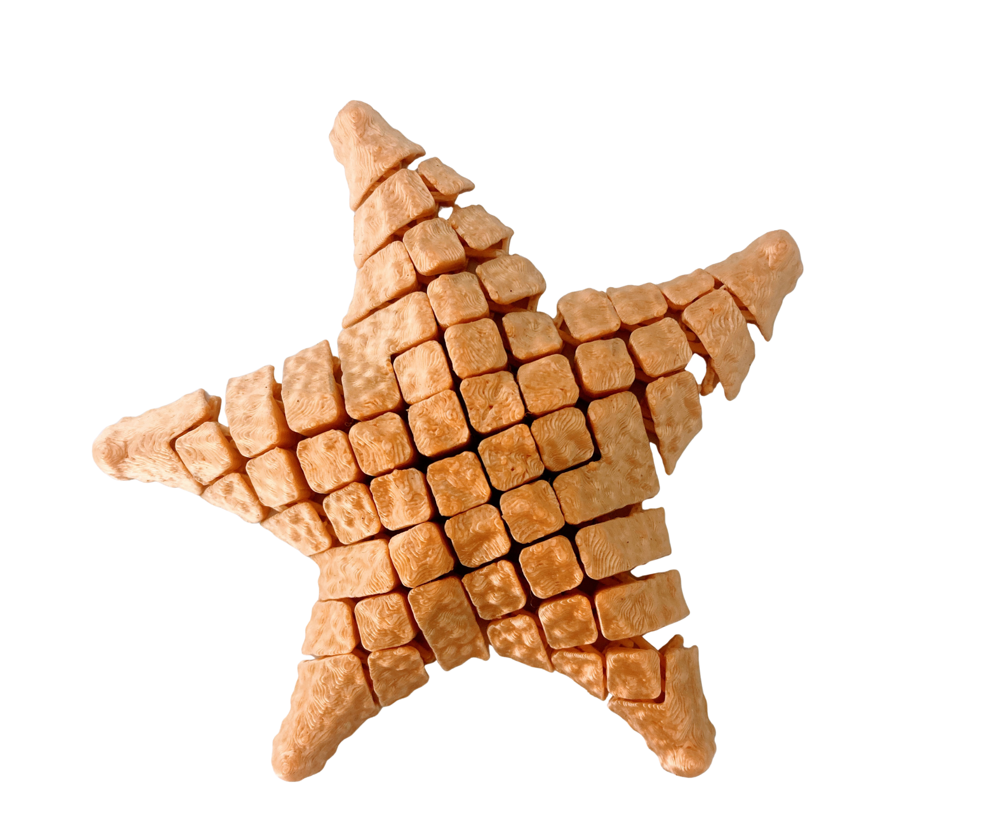 Estrela do mar 