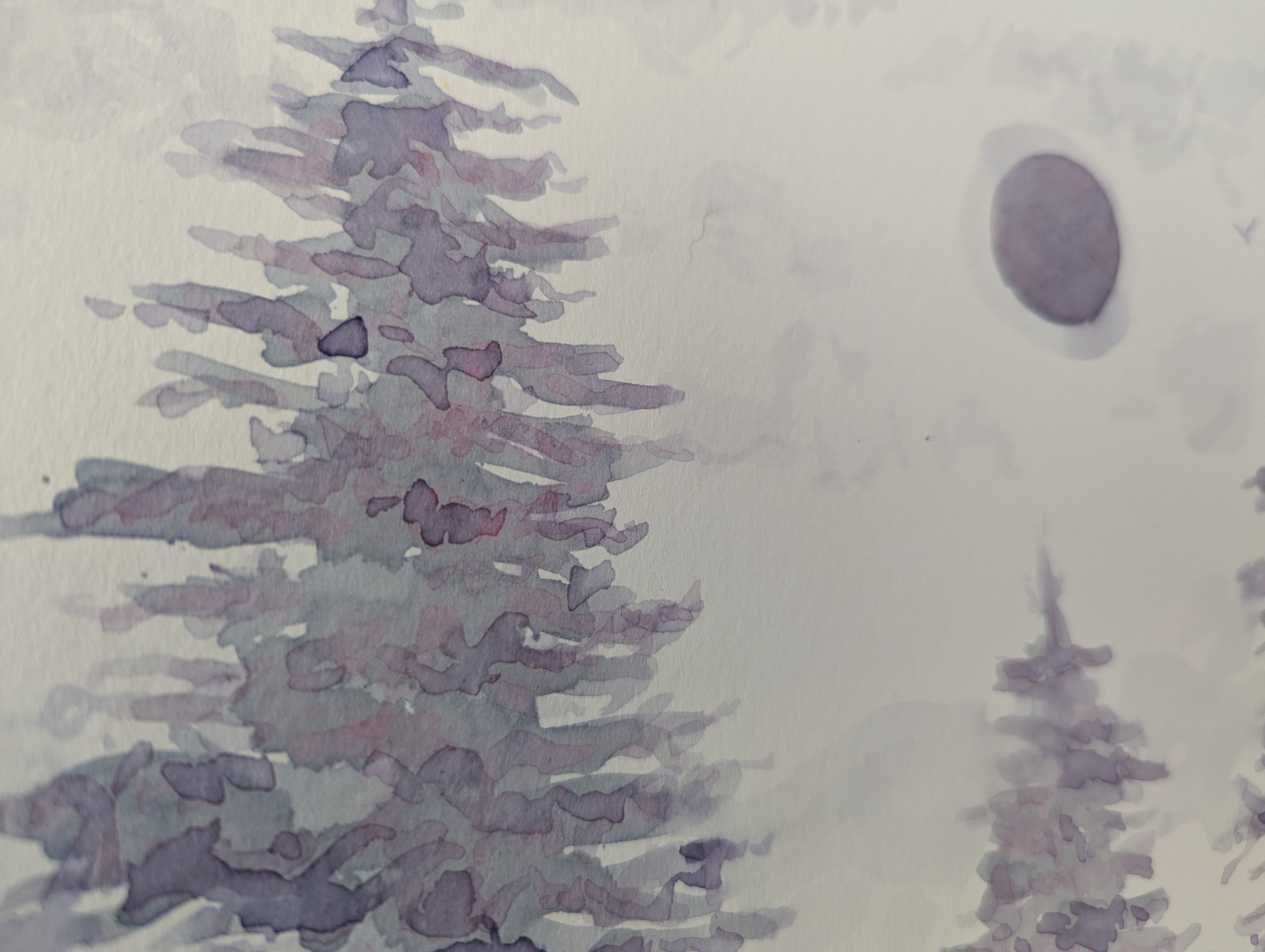 Pine Trio