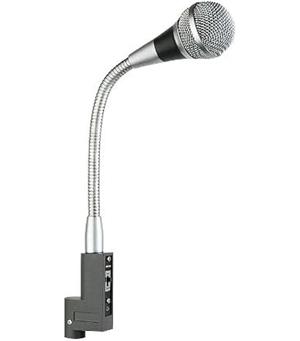 Gooseneck Microphone