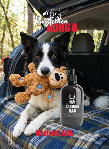 The Titan Duo - L | Gray