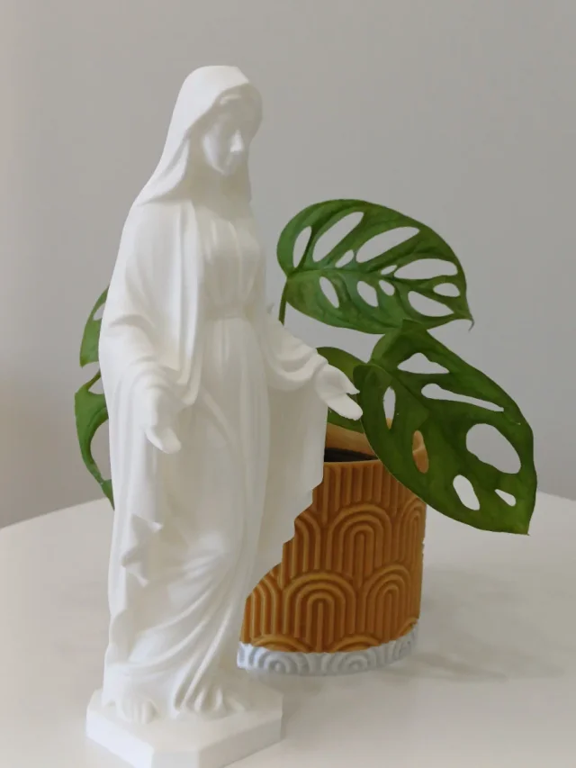 Virgen de la Milagrosa con velo