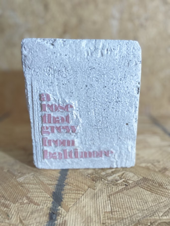 A rose that grew from Baltimore