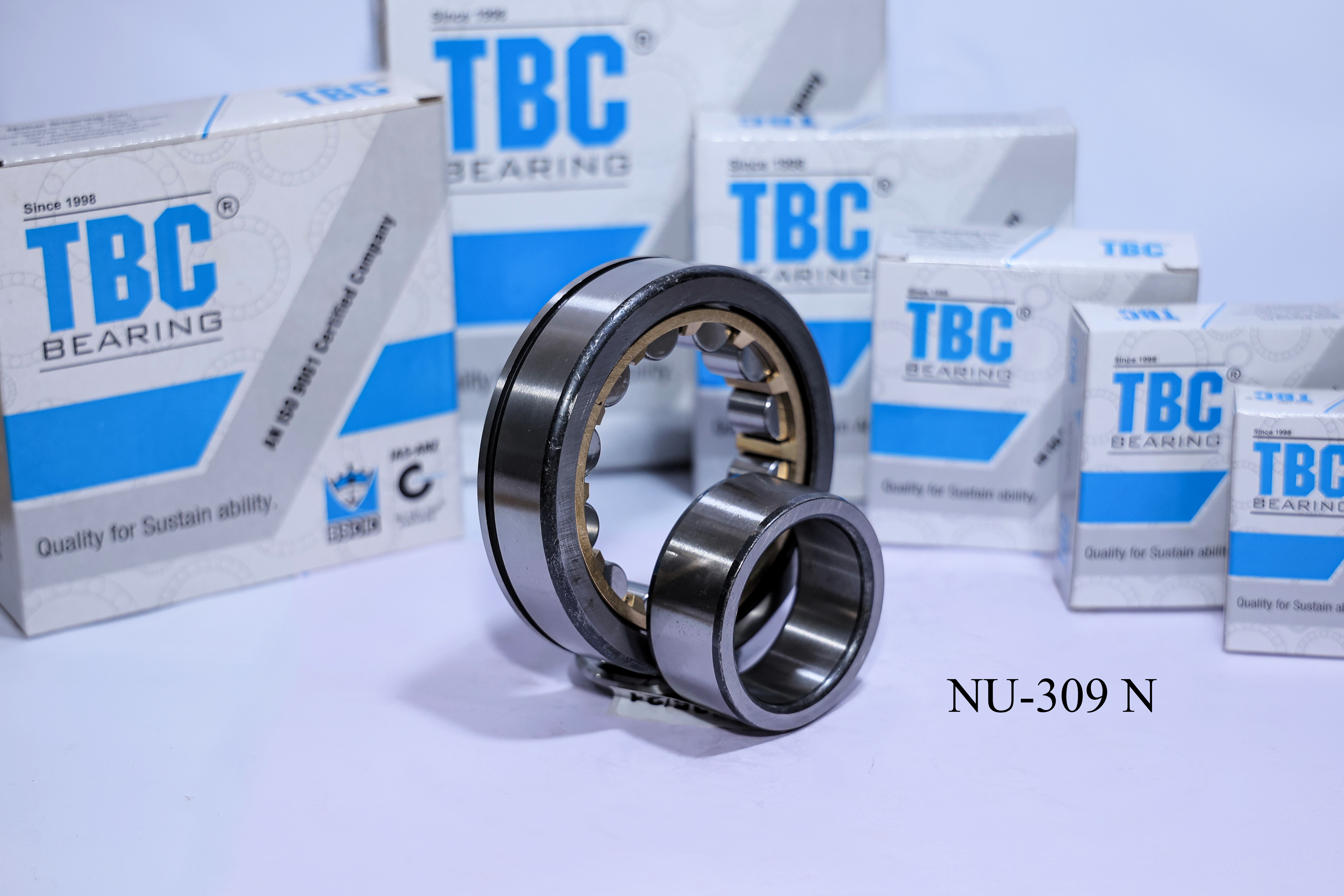 TBC NU-309 N Bearing