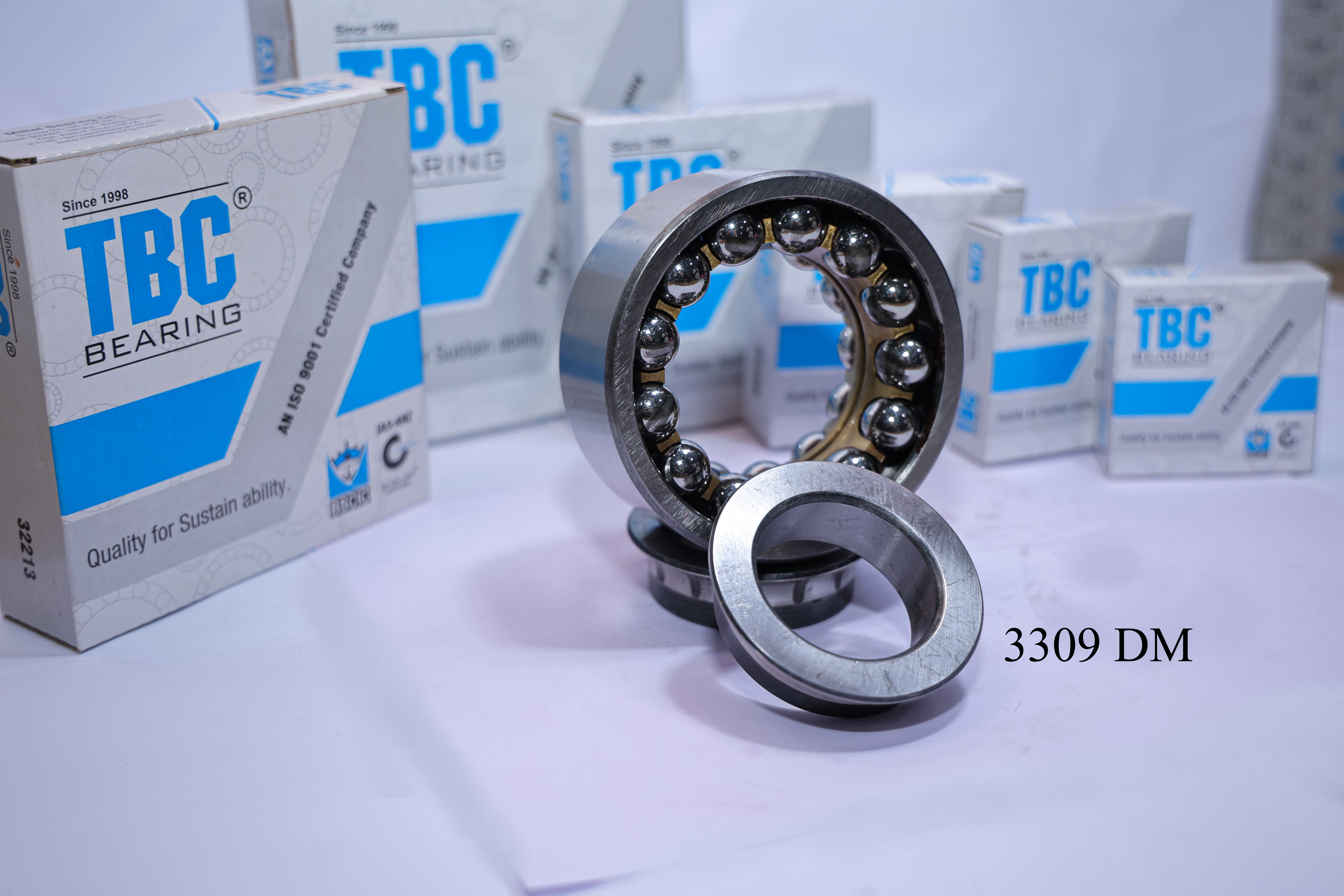 TBC Bearing 3309 DM