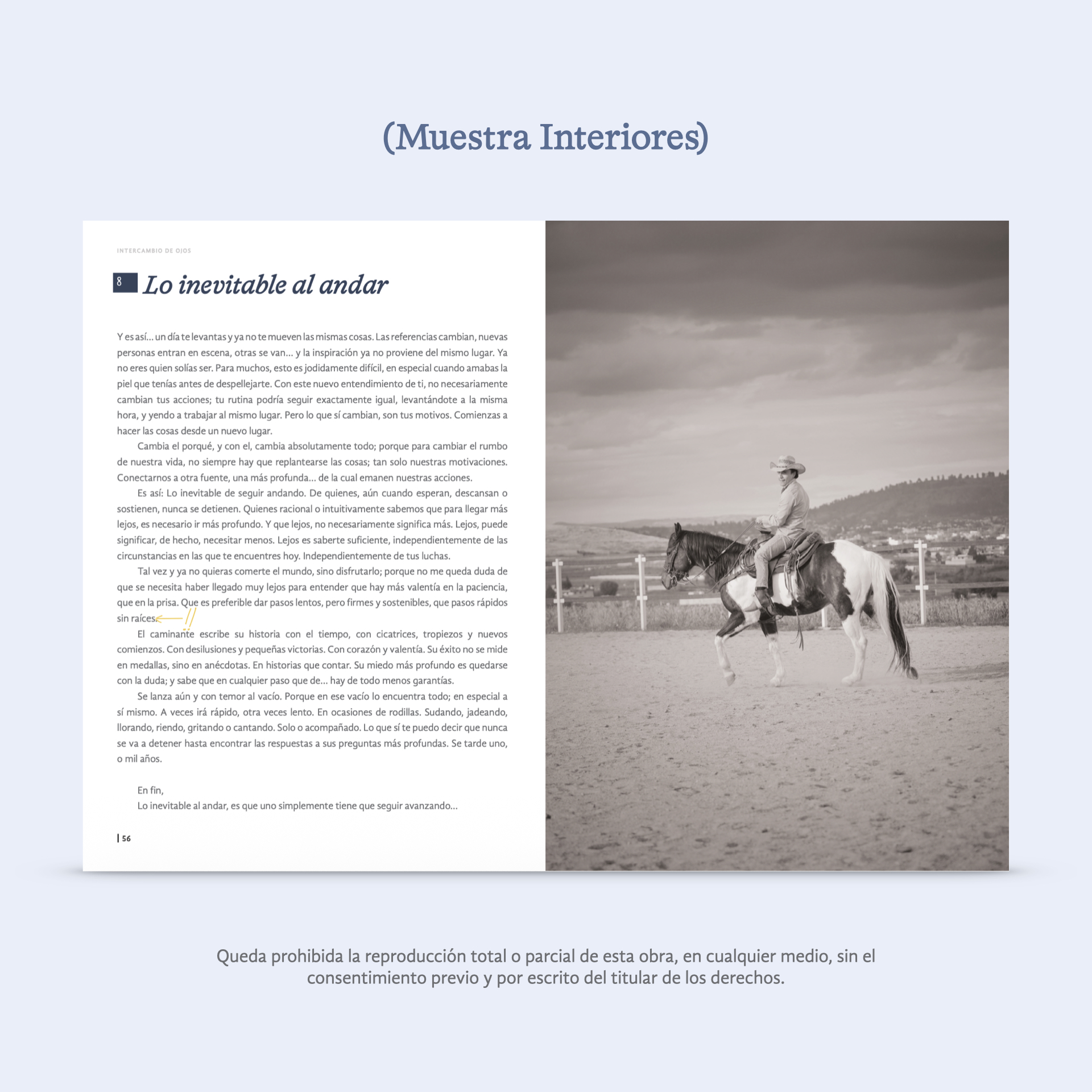 Turistas (Edición Deluxe)