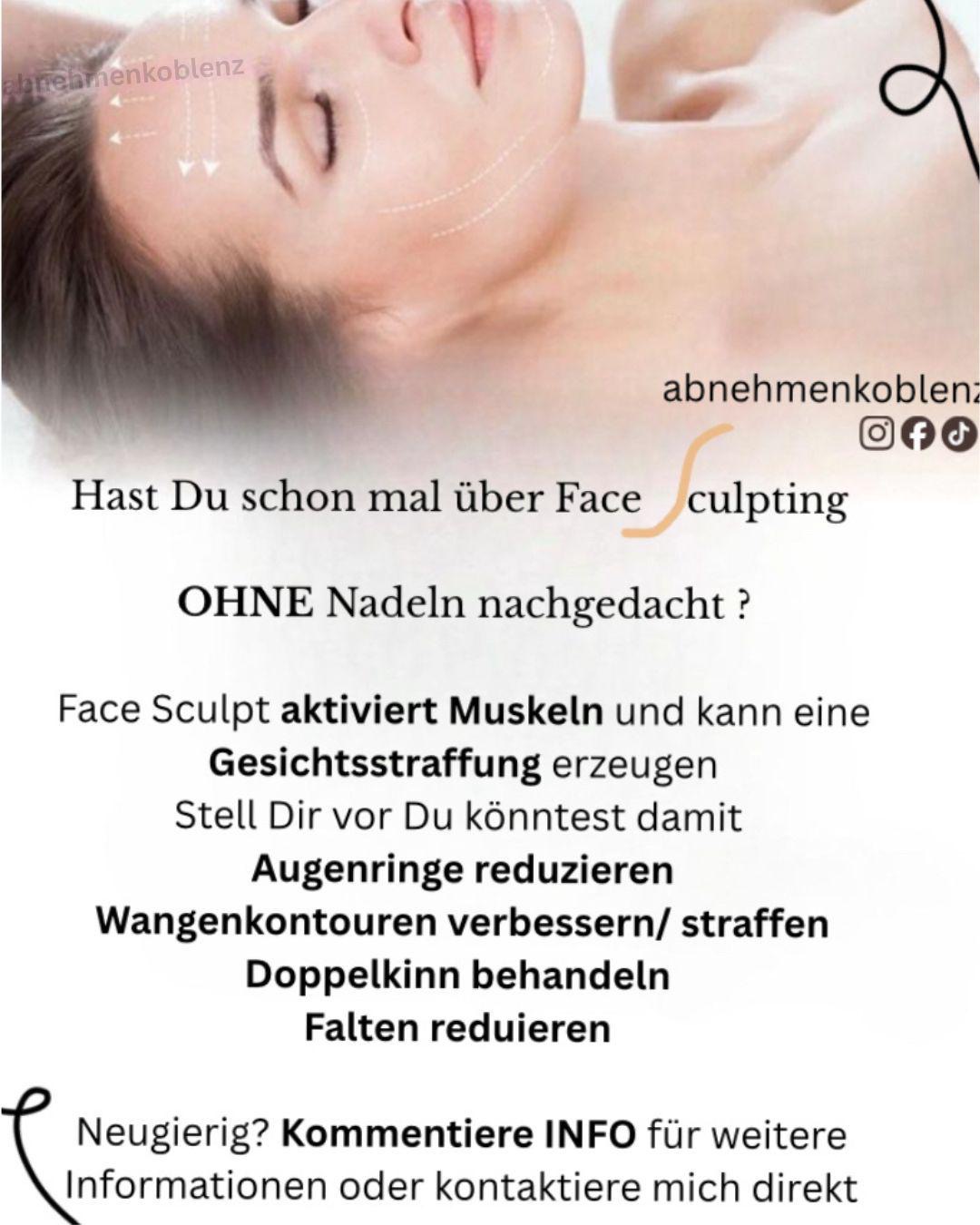 EMS Facial HILFES Gesicht PE Face 2 Zonen 