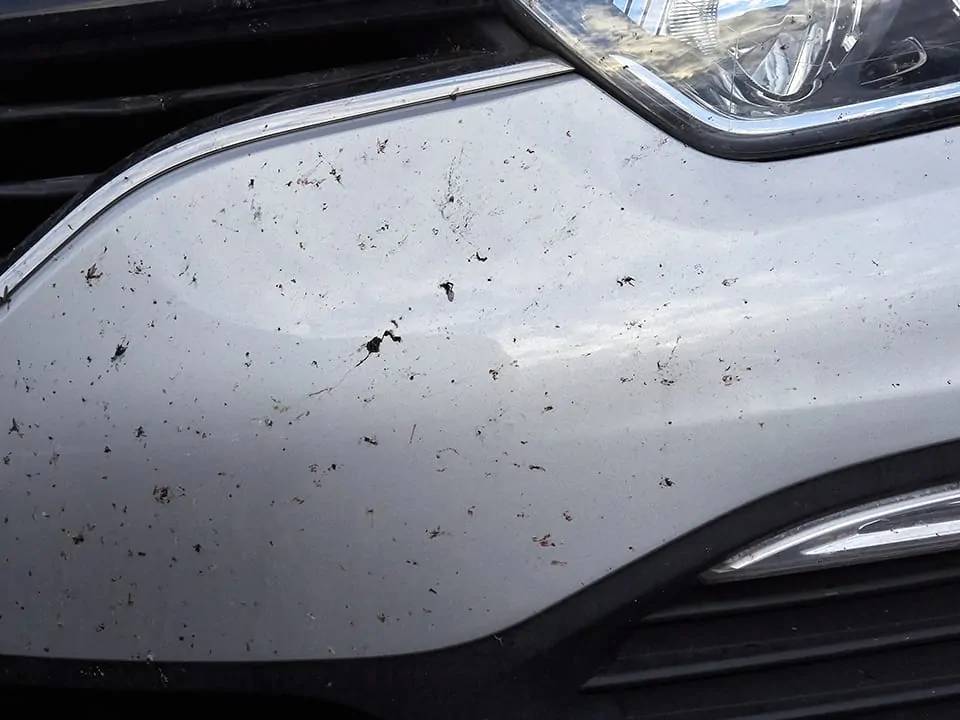 DECONTAMINAZIONE DA RESINE - CATRAME - PARTI FERROSE