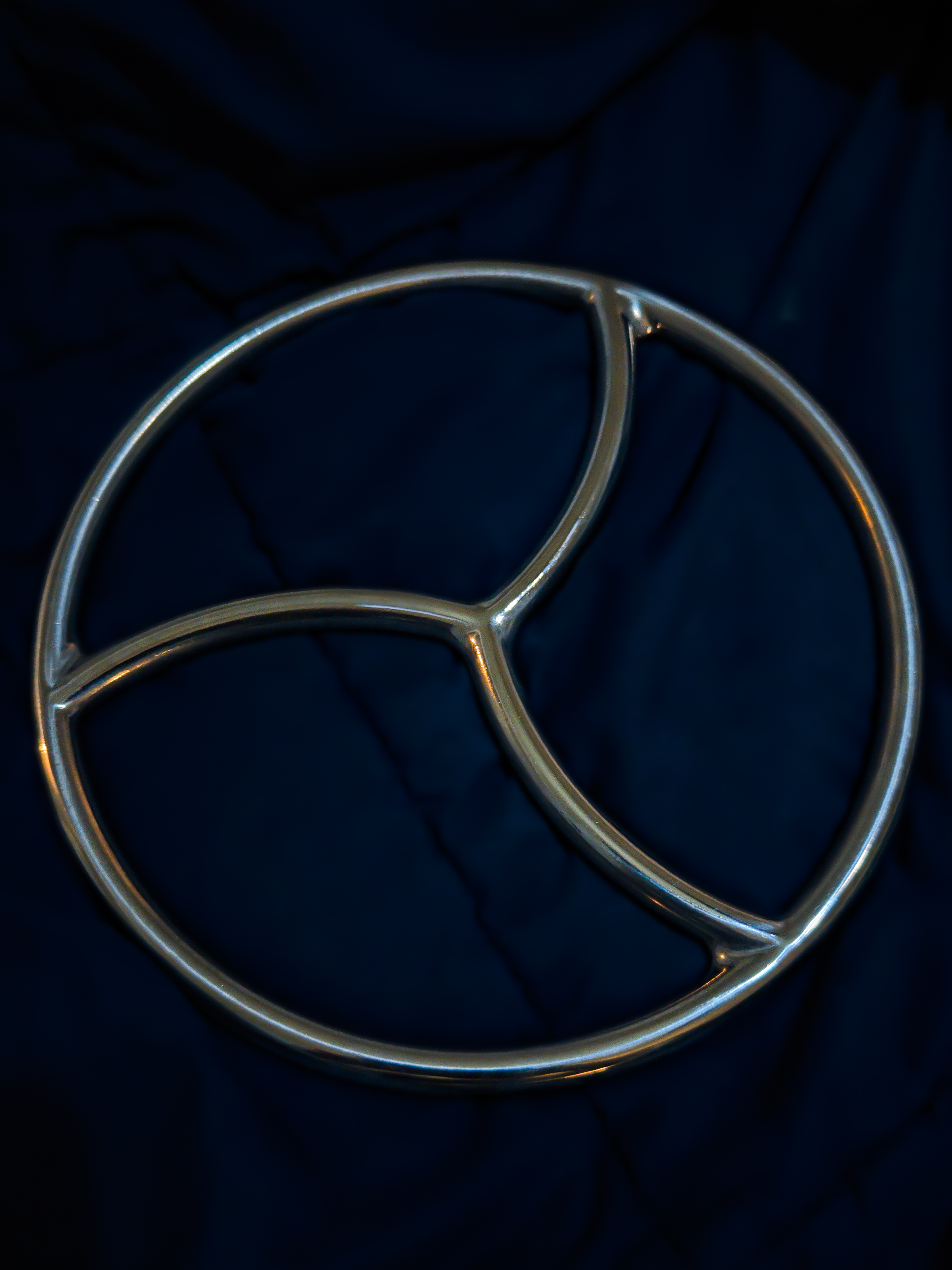 9" SS Treskelion Shibari Ring