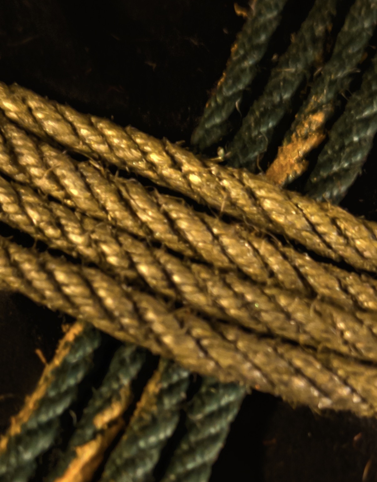 Emporor — Green / Antique Gold