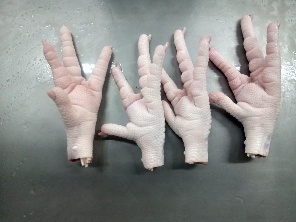 Chicken Paws