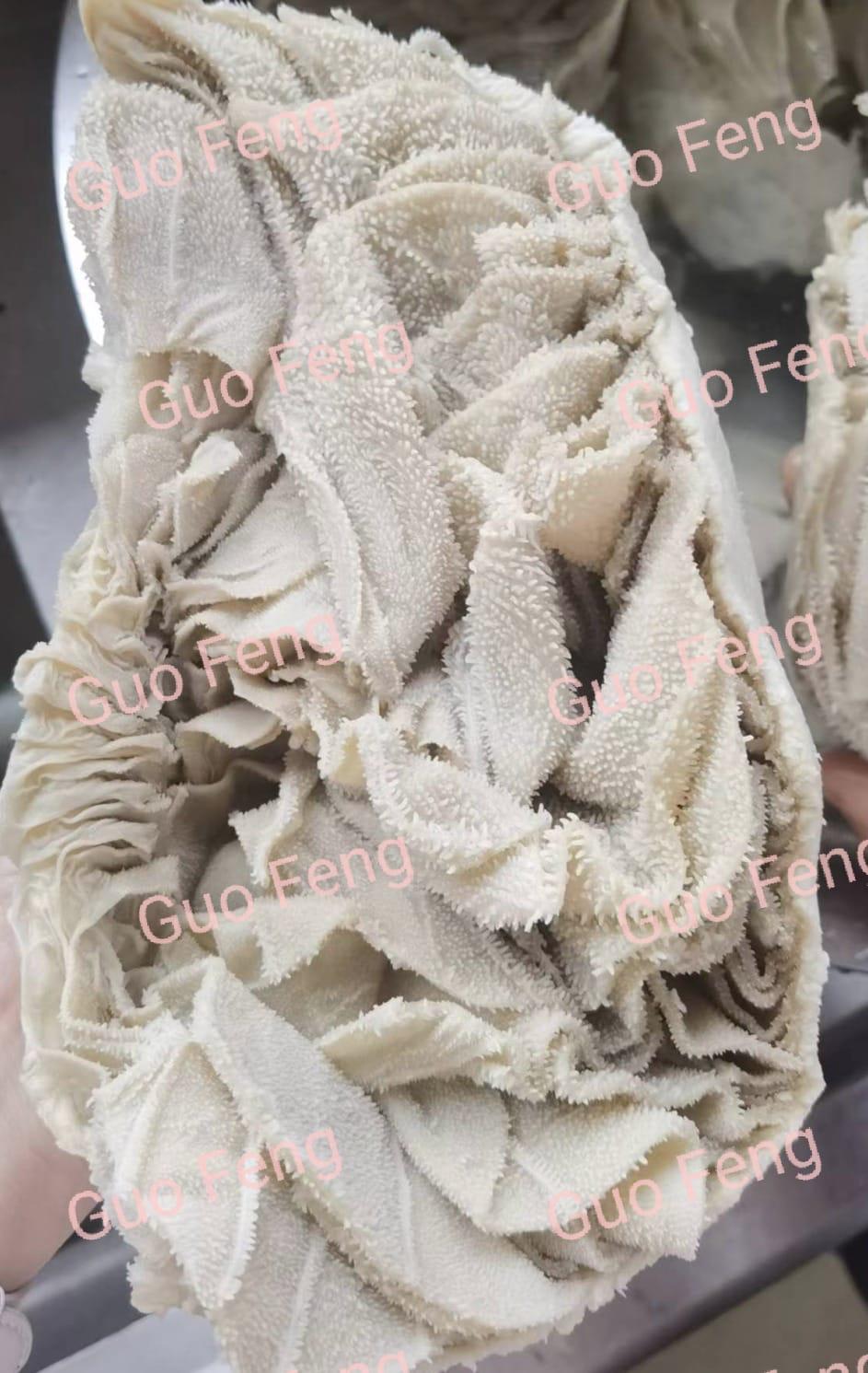 Beef Omasum - Boiled