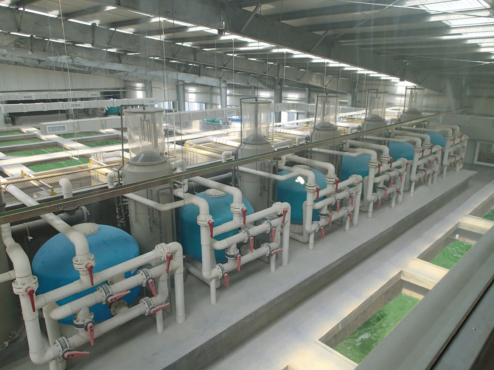 ECO Recirculating Aquaculture System