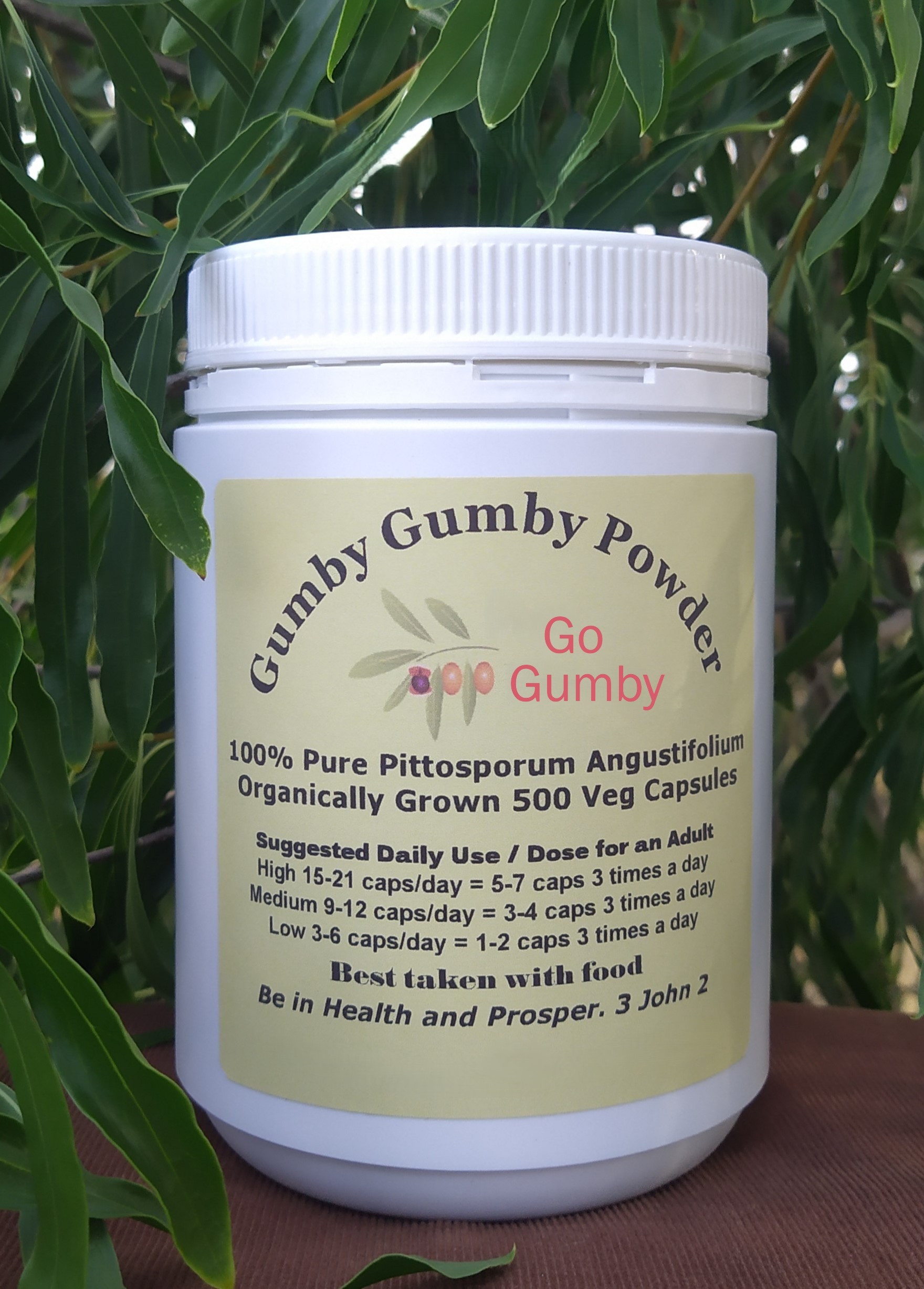 Go Gumby Capsules in Bottles