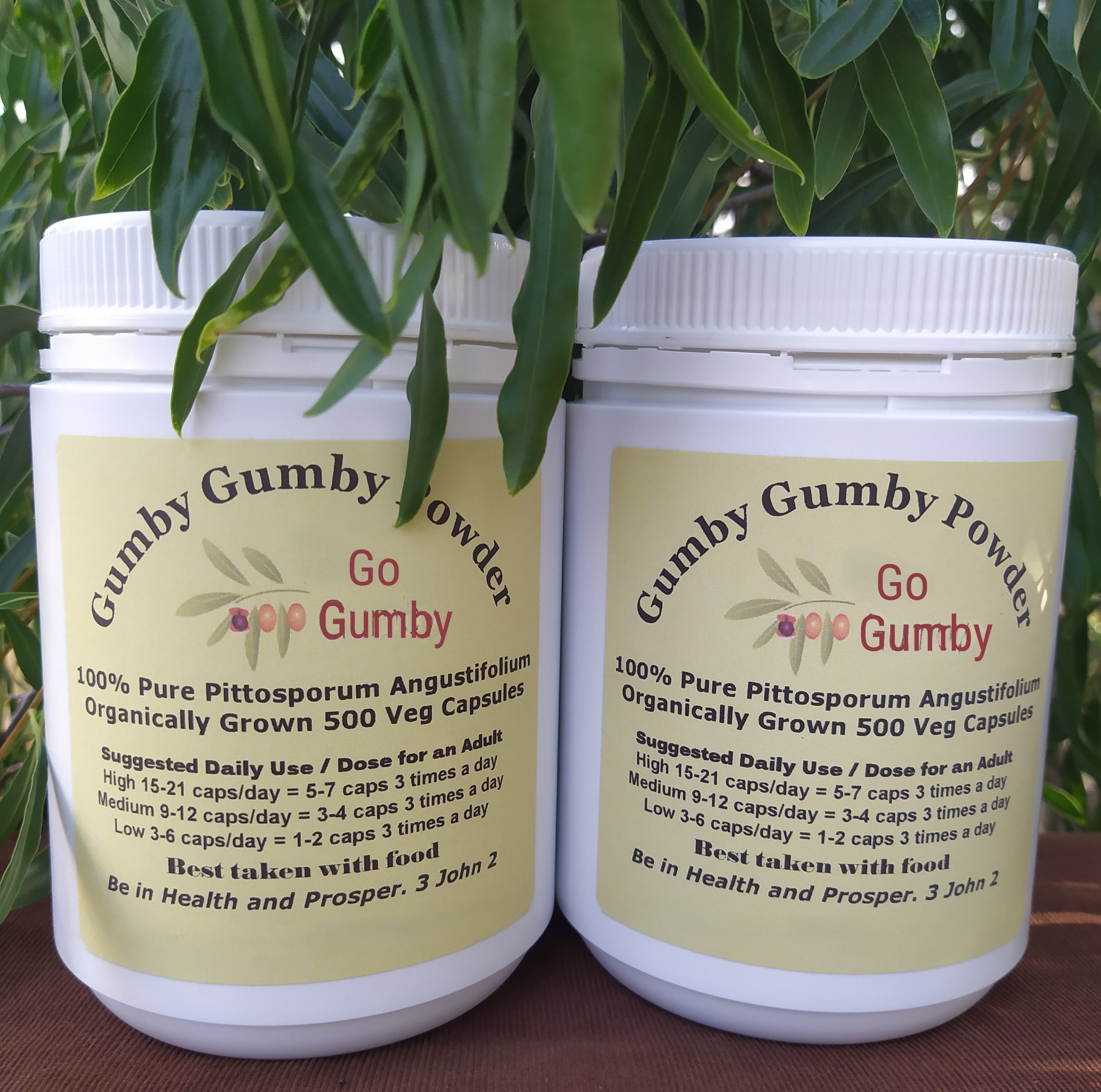 Go Gumby Capsules in Bottles