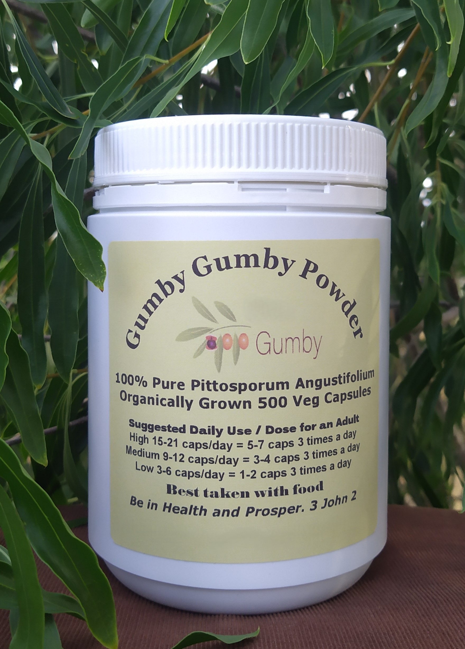 Go Gumby Capsules in Bottles