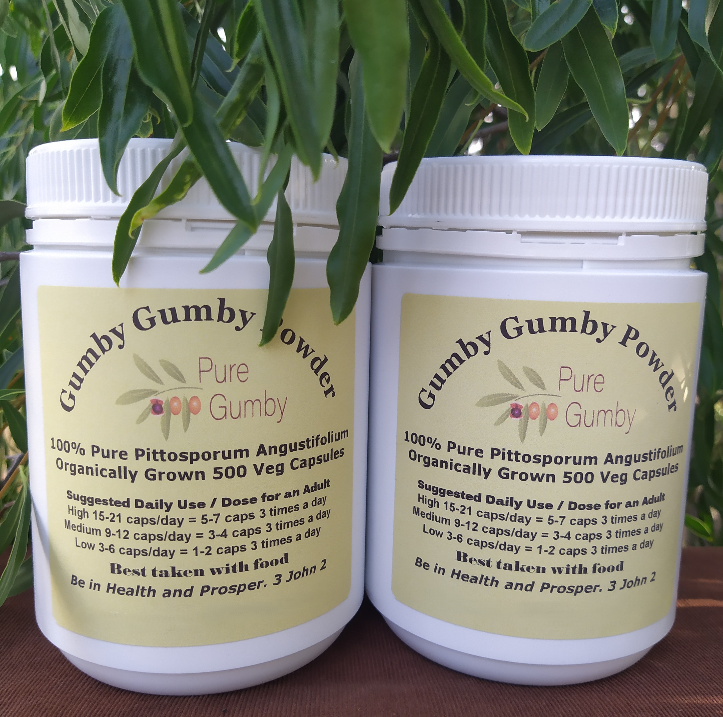 Go Gumby Capsules in Bottles