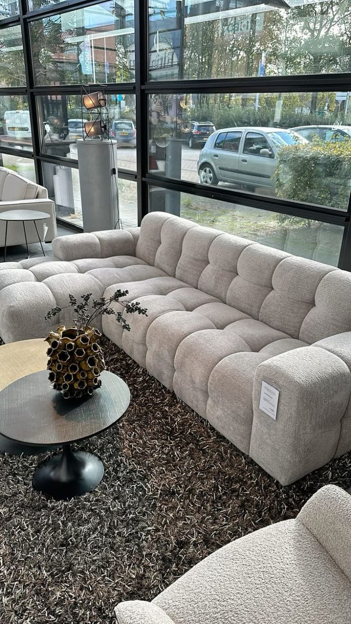 Modern Plush Sofa