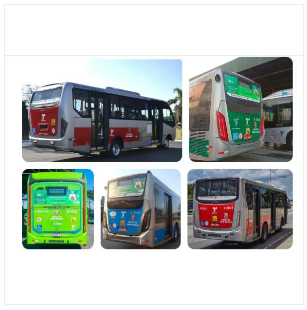 Ônibus e Micro ônibus Municipais.