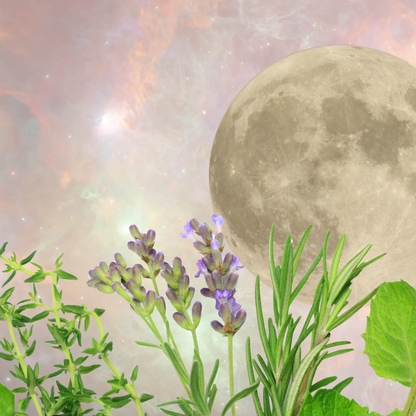 7Layers Path: Deep Reading