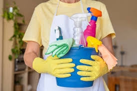 VIP Basic Cleaning