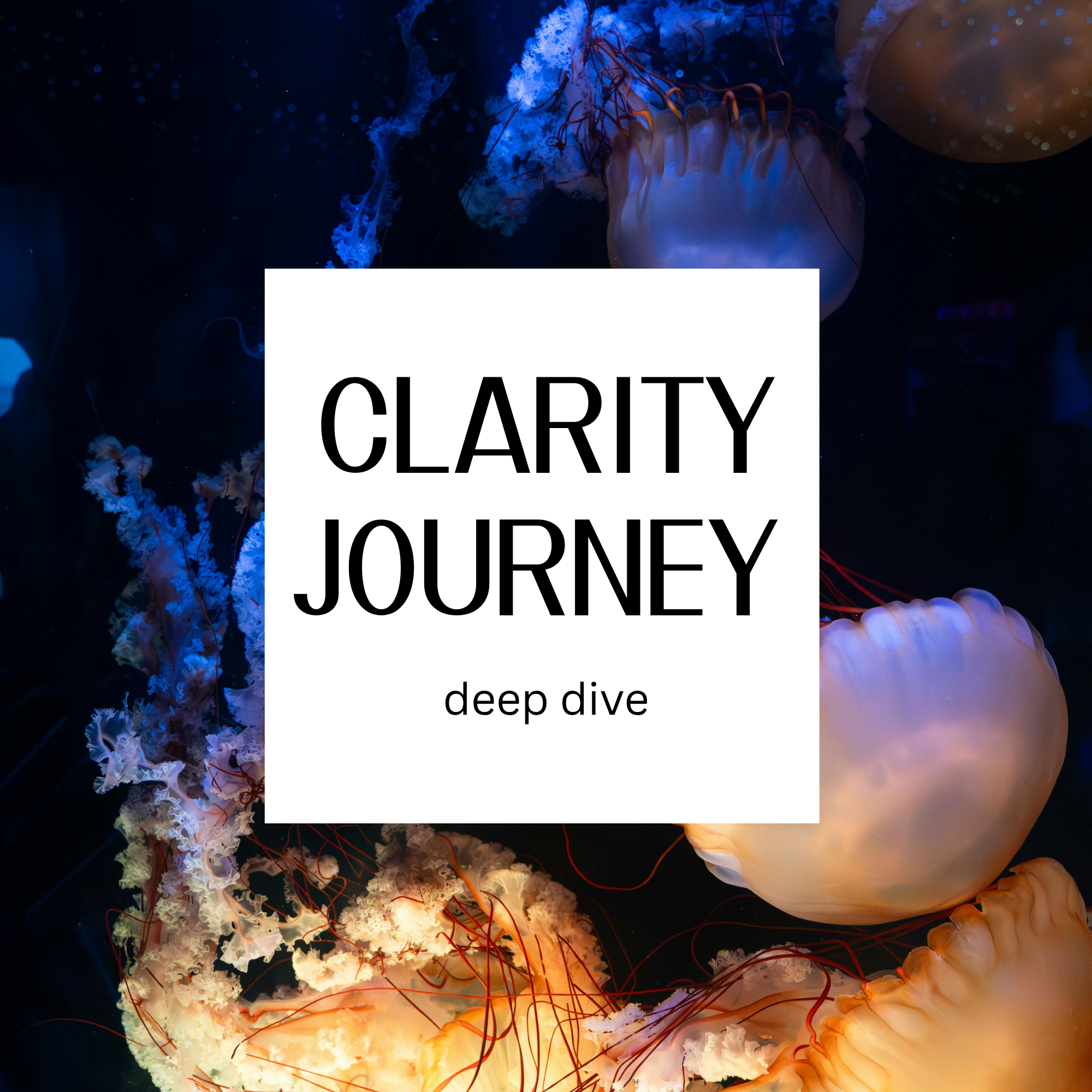 Clarity Journey - Deep Dive