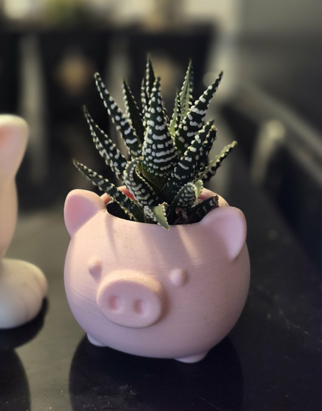 Cache-pot cochon avec cactus