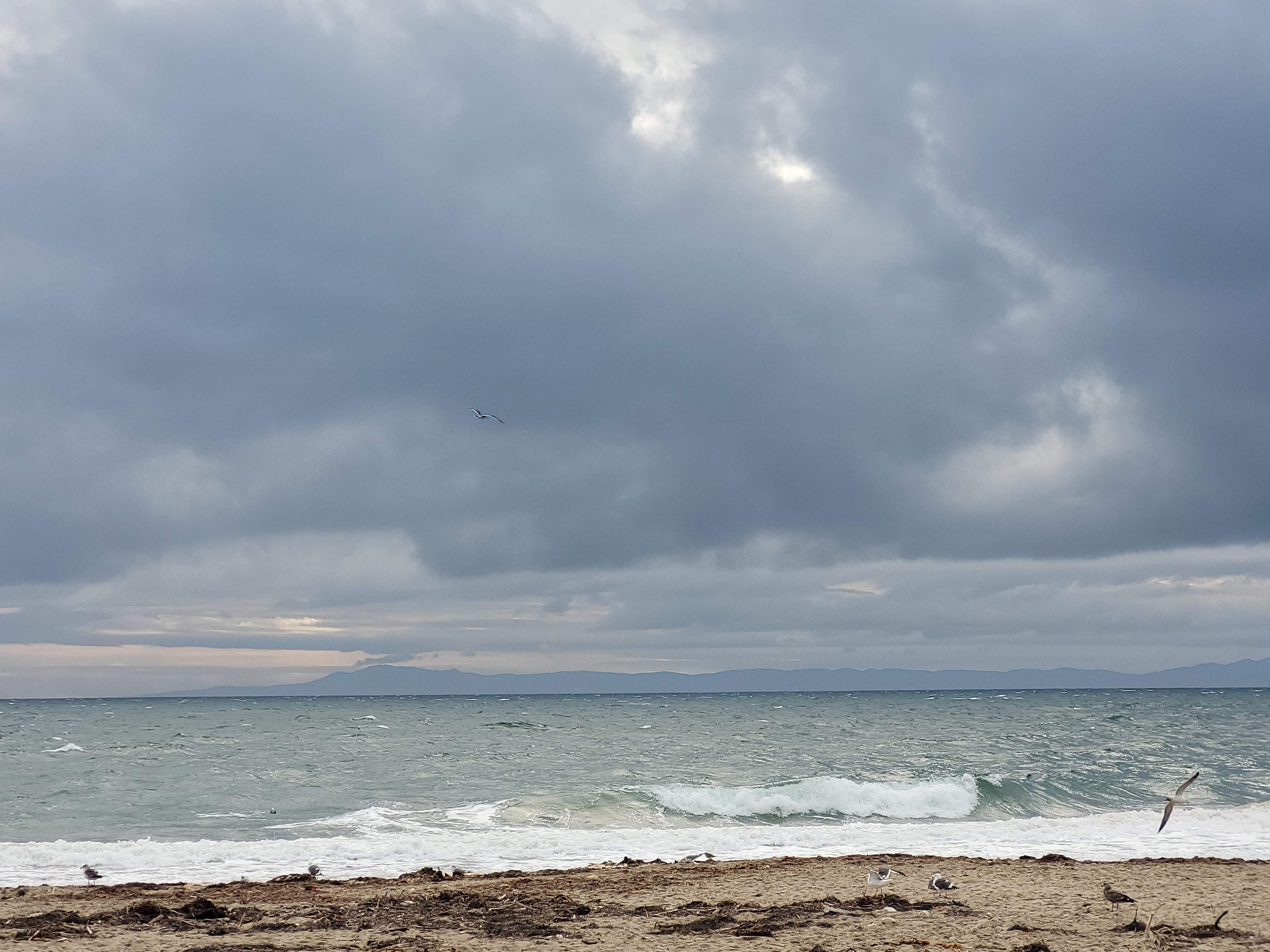 Assessment for Personalized Coaching