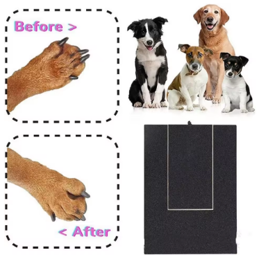 Dog Nail Scratch Board – Stress-Free Trimming
