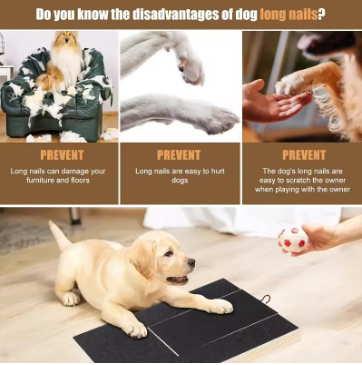 Dog Nail Scratch Board – Stress-Free Trimming
