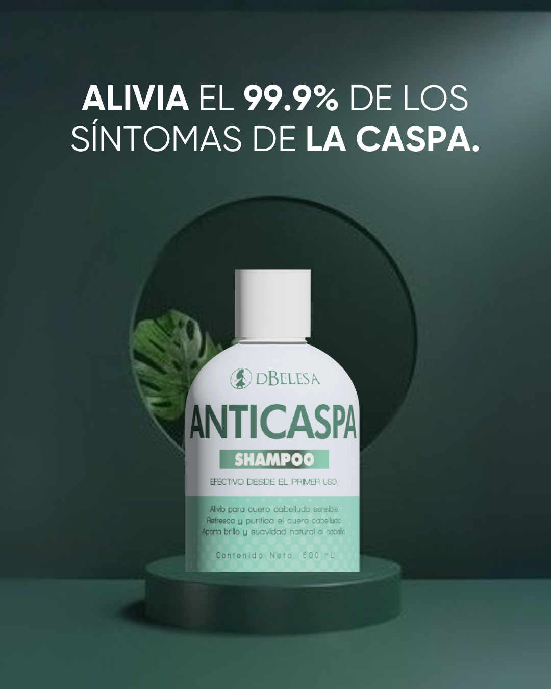 Shampoo Anticaspa / 500 ml