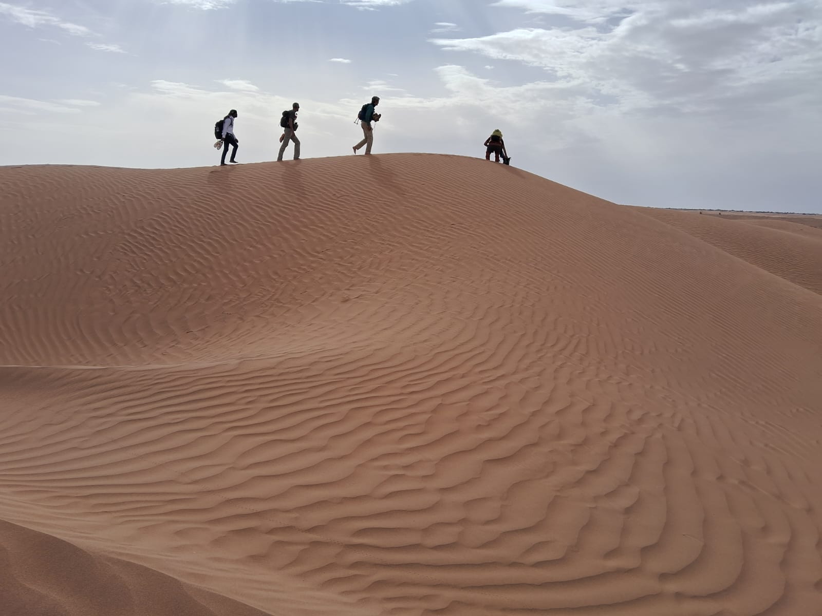 Erg de Merzouga et casbahs du Dadès