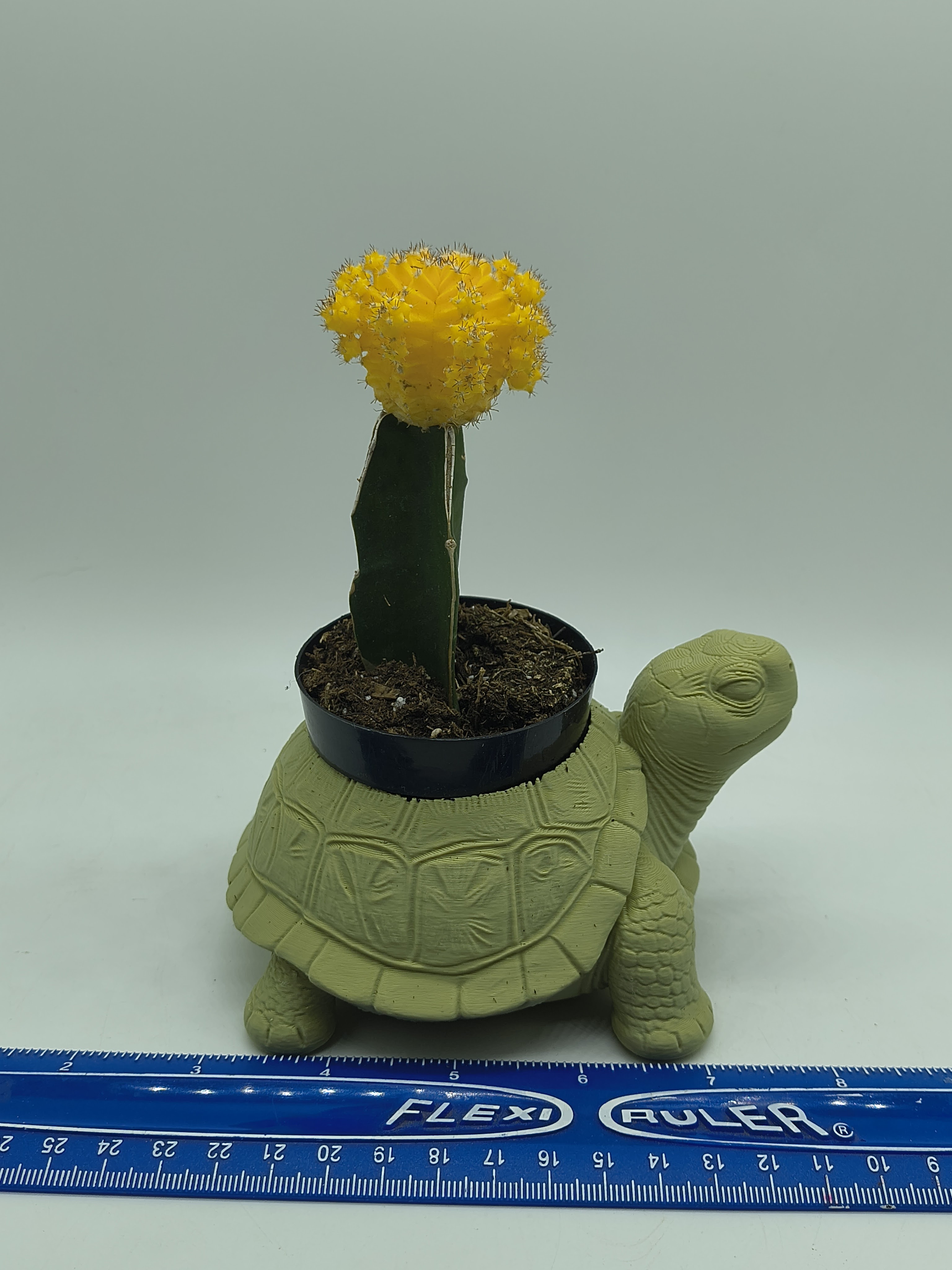 Turtle Planter 
