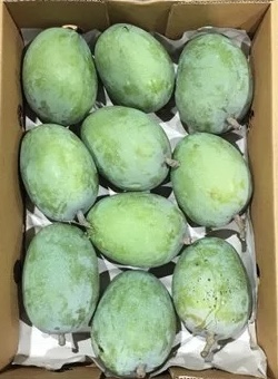 Rajapuri Mango