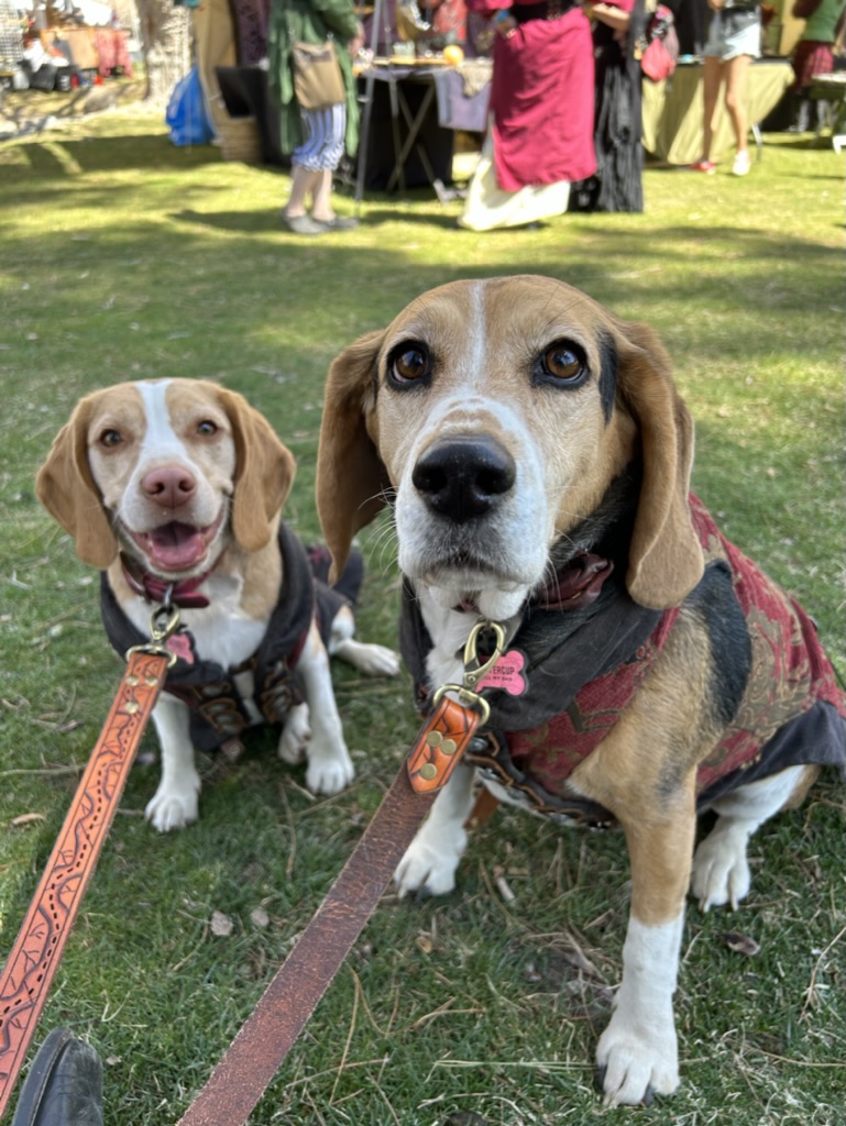 Hand tooled Pirate Map Double Dog Leash