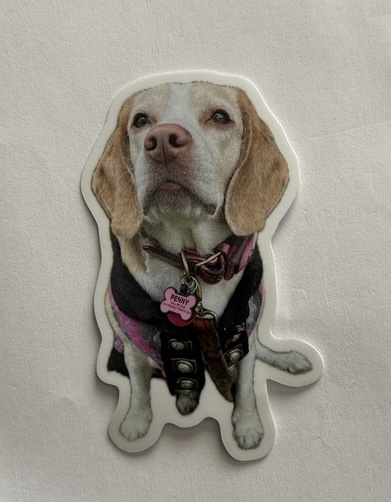 Penny Pirate Pup Sticker
