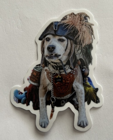 Copper the Pirate Pup