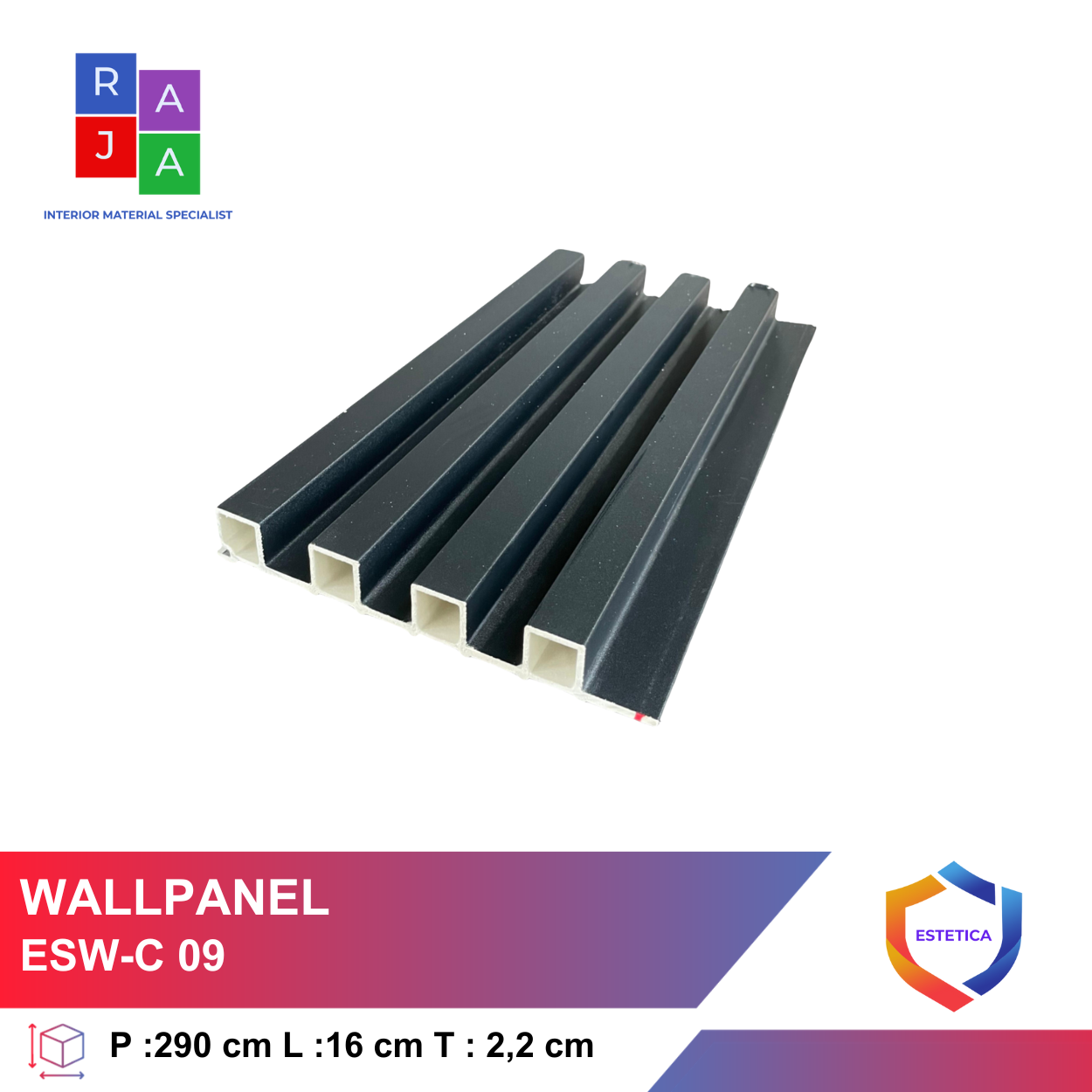 Wallpanel ESW-C 09