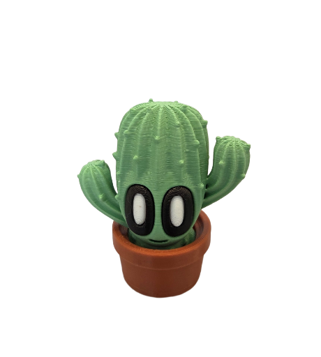 Cactus beeldje – schattige 3D geprinte decoratie