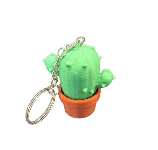 Cactus sleutelhanger – schattig 3D geprint figuurtje