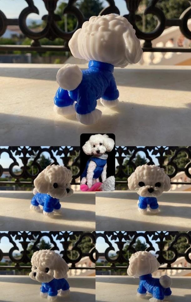 Figura personalizada mascota 