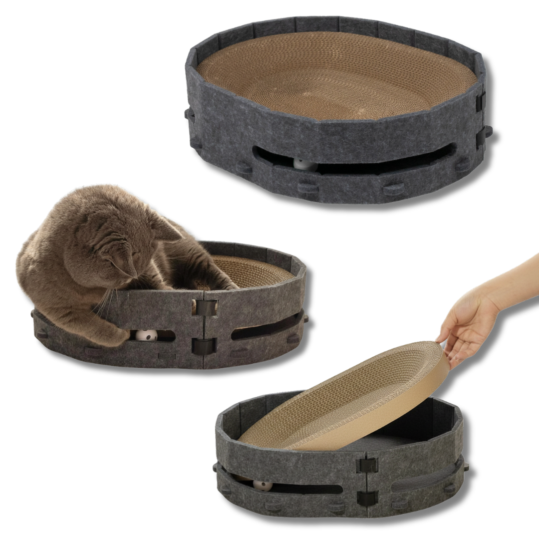 Cat Scratch Lounge Bed