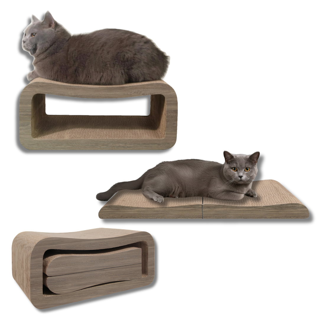Modern Cat Scratcher Lounge