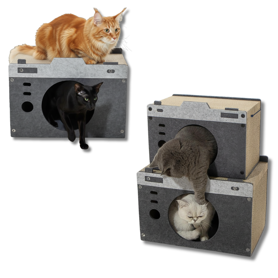 Camera-Shaped Cat House