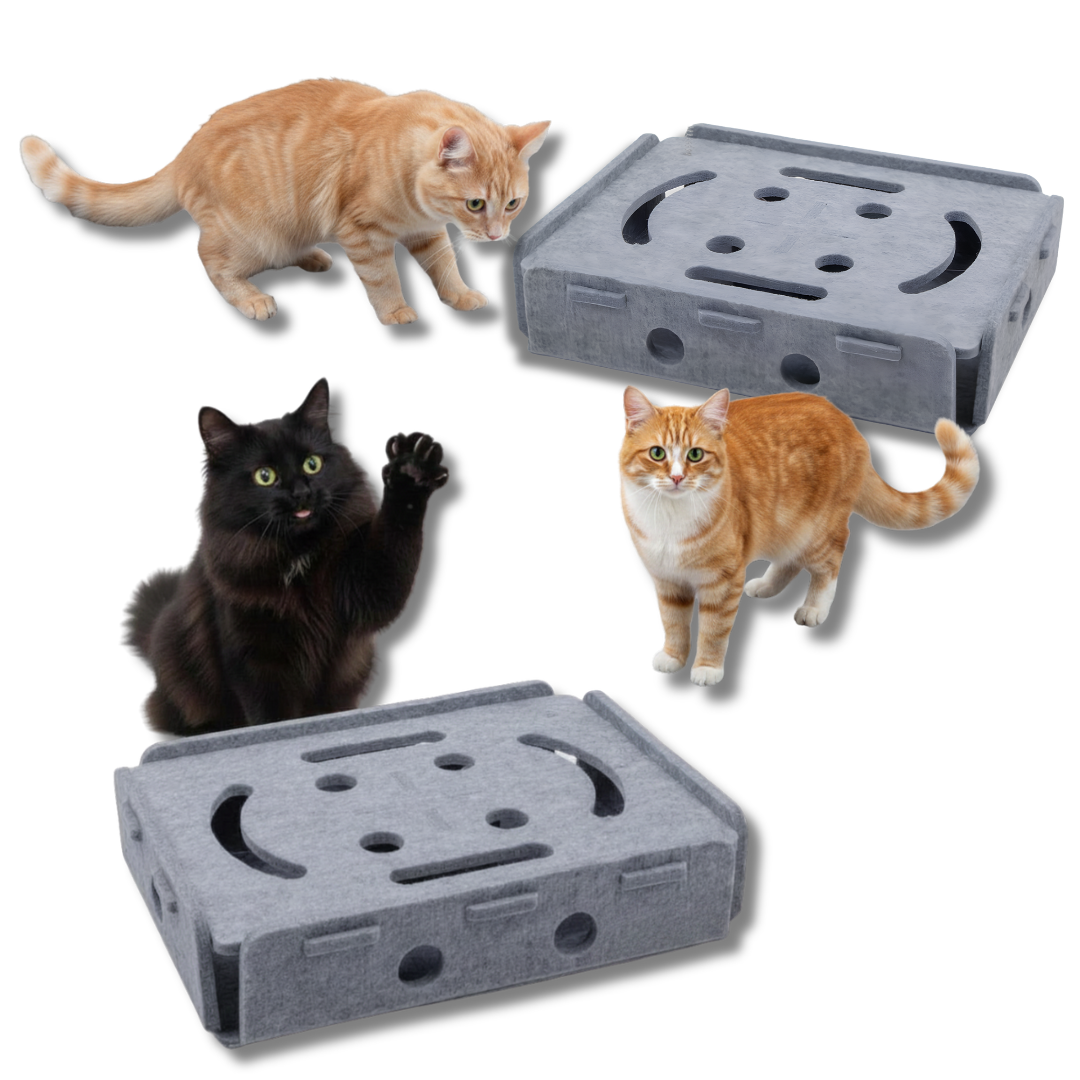 Interactive Cat Puzzle Box