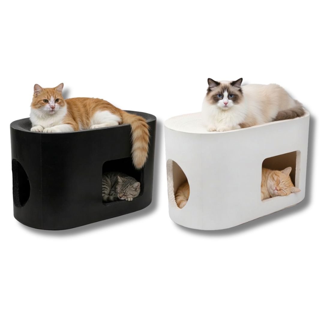 Modern Cat Condo Lounge