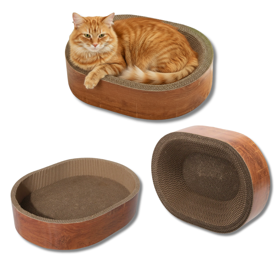 Cat Scratcher Lounge Bed