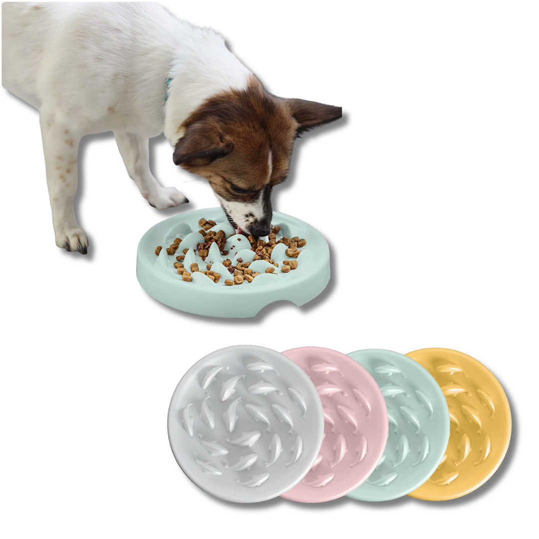 Slow Feeder Dog Bowl